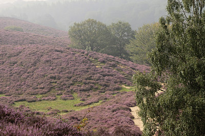 BUITEN BEELD Foto: 139072
