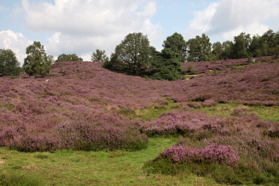 BUITEN BEELD Foto: 139080