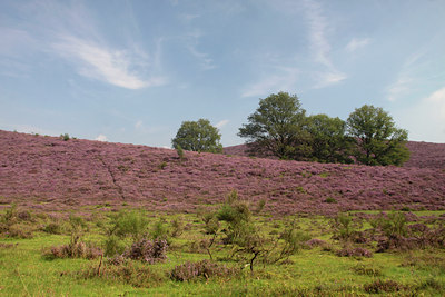 BUITEN BEELD Foto: 139102