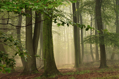 BUITEN BEELD Foto: 139105
