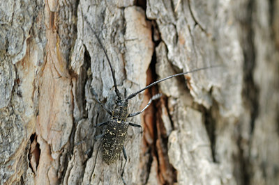 BUITEN BEELD Foto: 139109