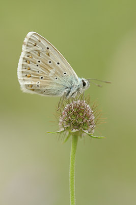 BUITEN BEELD Foto: 139115