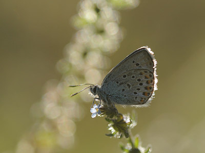 BUITEN BEELD Foto: 139145