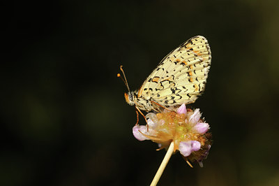 BUITEN BEELD Foto: 139150