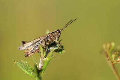 BUITEN BEELD Foto: 139153