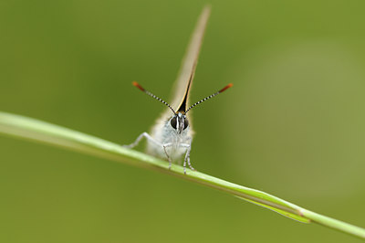 BUITEN BEELD Foto: 139157