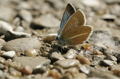 BUITEN BEELD Foto: 139166