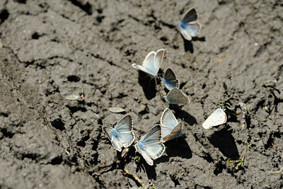 BUITEN BEELD Foto: 139174