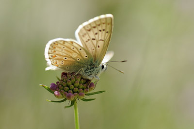 BUITEN BEELD Foto: 139185