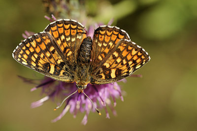 BUITEN BEELD Foto: 139190