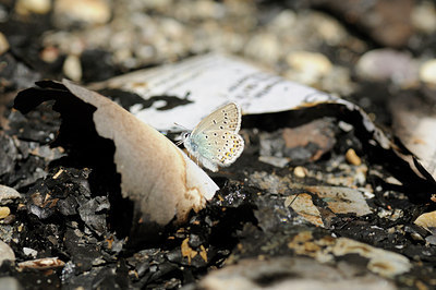 BUITEN BEELD Foto: 139193