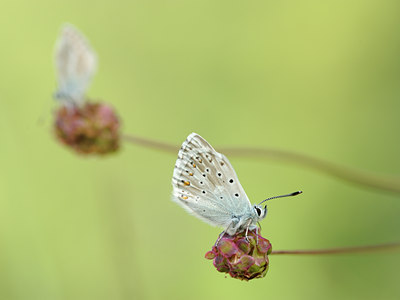 BUITEN BEELD Foto: 139195