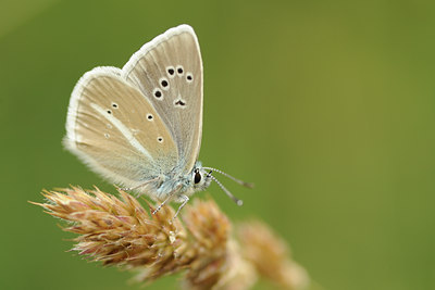 BUITEN BEELD Foto: 139212