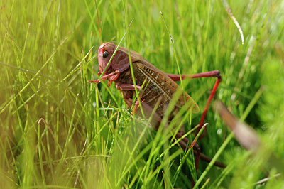 BUITEN BEELD Foto: 139216
