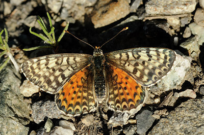 BUITEN BEELD Foto: 139222