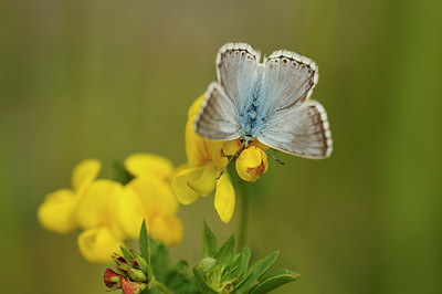 BUITEN BEELD Foto: 139229