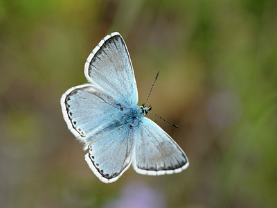 BUITEN BEELD Foto: 139251