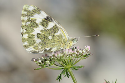 BUITEN BEELD Foto: 139290