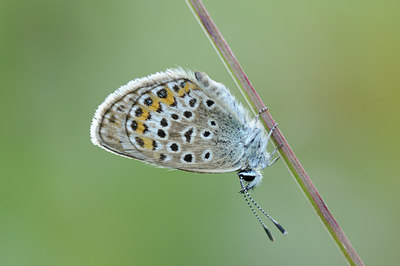 BUITEN BEELD Foto: 139324