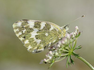 BUITEN BEELD Foto: 139383