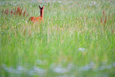 BUITEN BEELD Foto: 139425