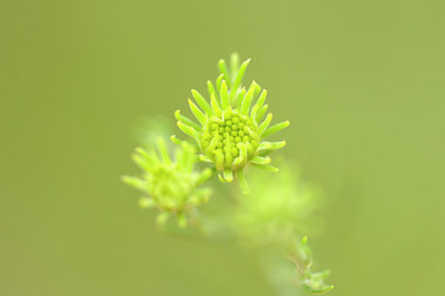 BUITEN BEELD Foto: 139435