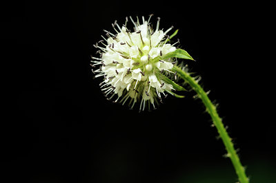 BUITEN BEELD Foto: 139445