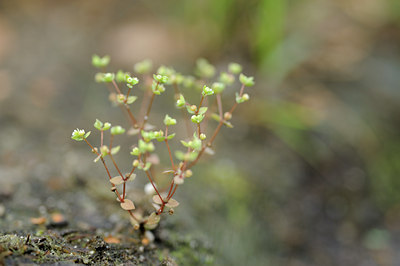 BUITEN BEELD Foto: 139464