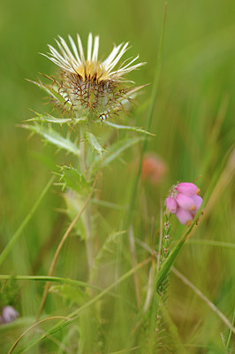 BUITEN BEELD Foto: 139466