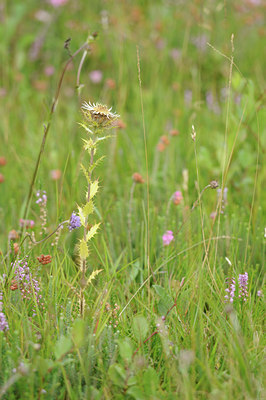 BUITEN BEELD Foto: 139468