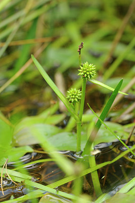 BUITEN BEELD Foto: 139471