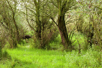 BUITEN BEELD Foto: 139488