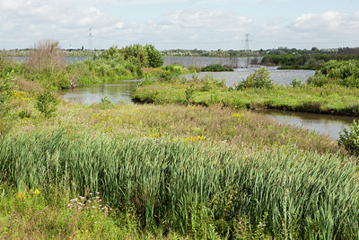 BUITEN BEELD Foto: 139493