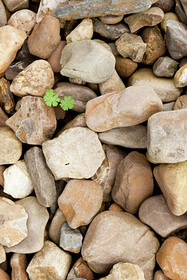 BUITEN BEELD Foto: 139499