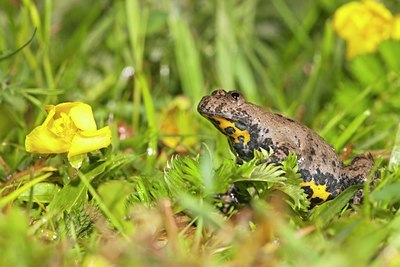 BUITEN BEELD Foto: 139511