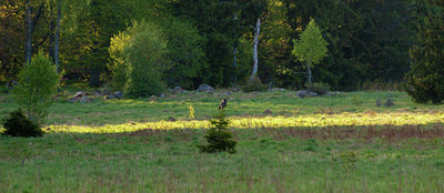 BUITEN BEELD Foto: 139559