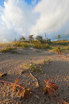 BUITEN BEELD Foto: 139573