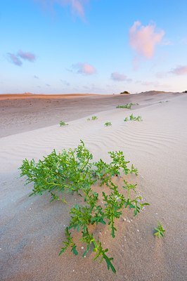 BUITEN BEELD Foto: 139578