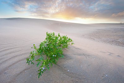 BUITEN BEELD Foto: 139579