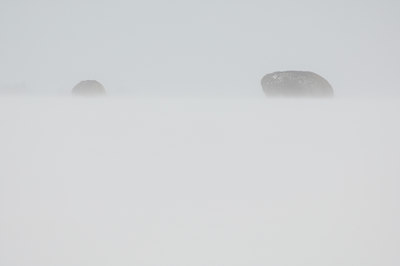 BUITEN BEELD Foto: 139612