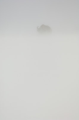 BUITEN BEELD Foto: 139613