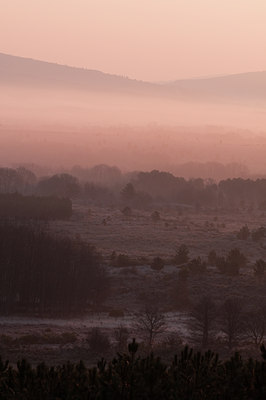 BUITEN BEELD Foto: 139754