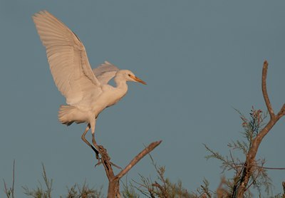 BUITEN BEELD Foto: 139767