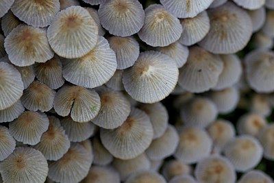 BUITEN BEELD Foto: 139796