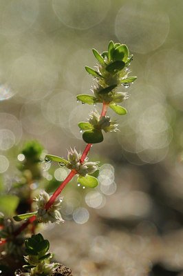 BUITEN BEELD Foto: 139841