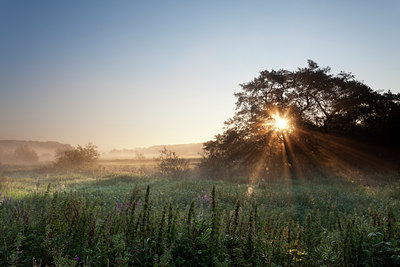 BUITEN BEELD Foto: 139886