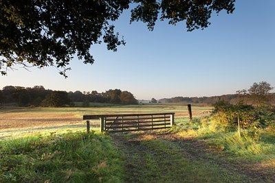 BUITEN BEELD Foto: 139891