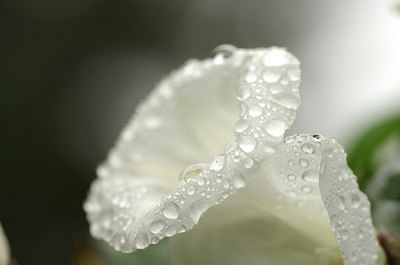 BUITEN BEELD Foto: 139908