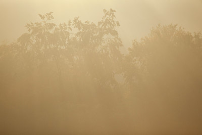 BUITEN BEELD Foto: 139931