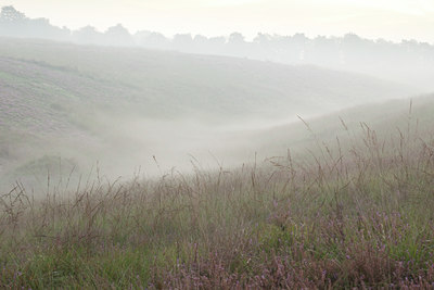 BUITEN BEELD Foto: 139932